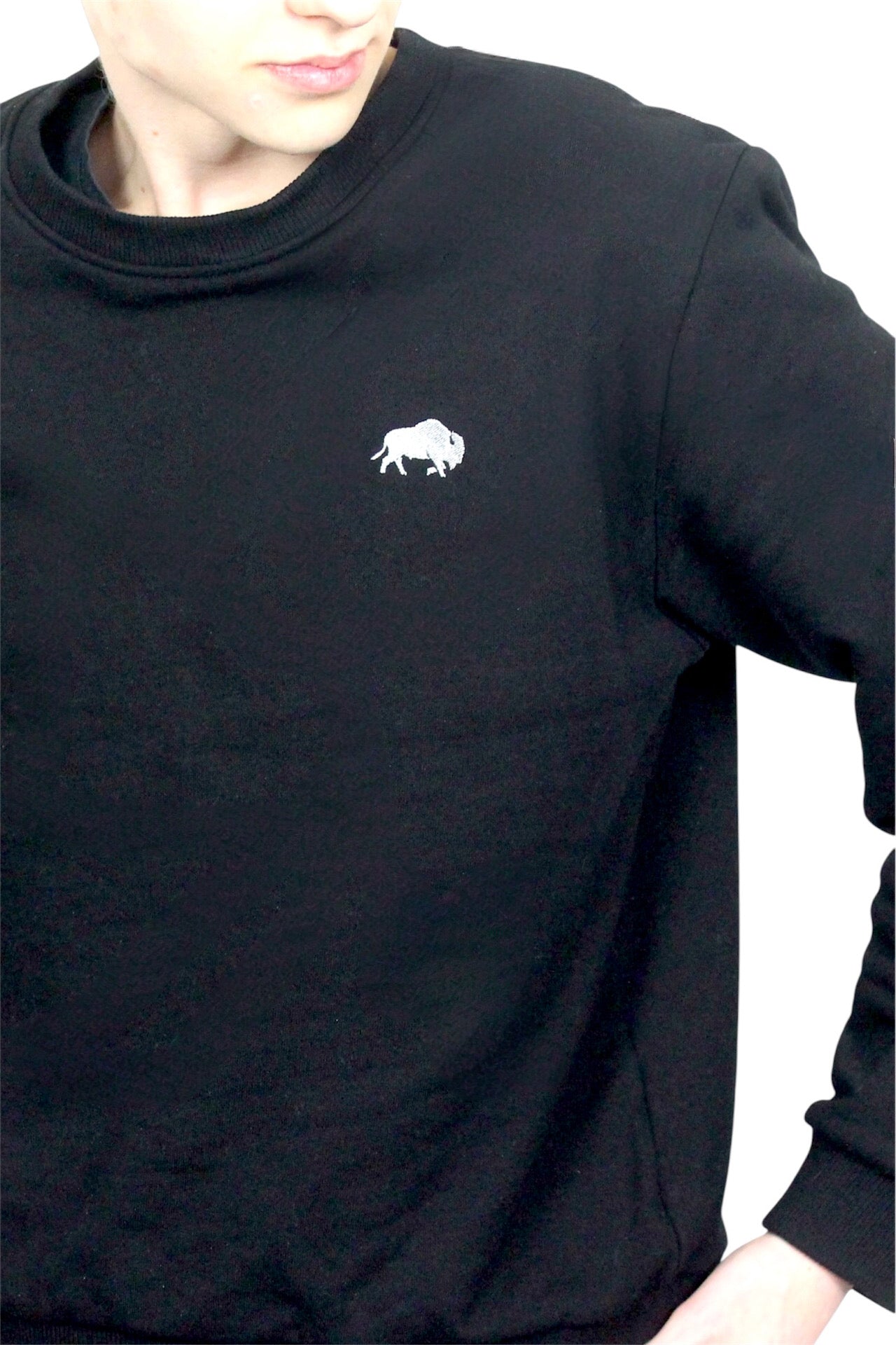 Gedgaudas Sweatshirt